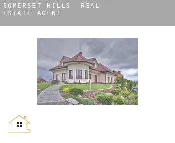 Somerset Hills  real estate agent