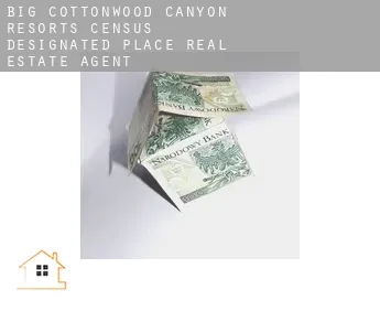 Big Cottonwood Canyon Resorts  real estate agent