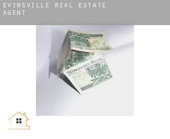 Evinsville  real estate agent