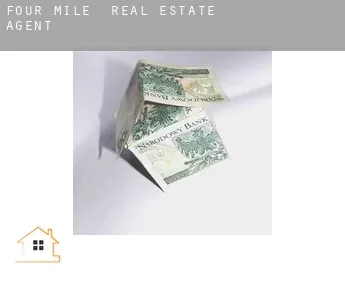 Four Mile  real estate agent