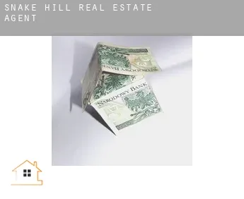 Snake Hill  real estate agent