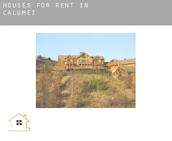 Houses for rent in  Calumet