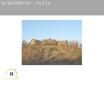 Binghamton  flats