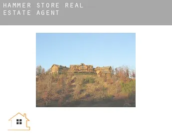 Hammer Store  real estate agent