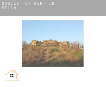 Houses for rent in  Mecan