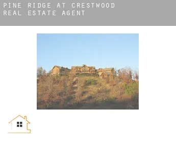 Pine Ridge at Crestwood  real estate agent