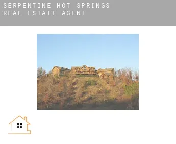 Serpentine Hot Springs  real estate agent