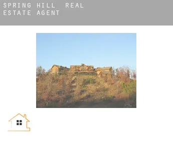 Spring Hill  real estate agent