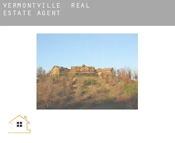 Vermontville  real estate agent