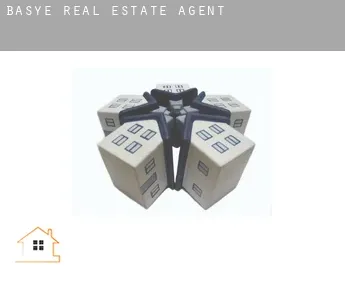 Basye  real estate agent