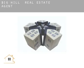 Big Hill  real estate agent