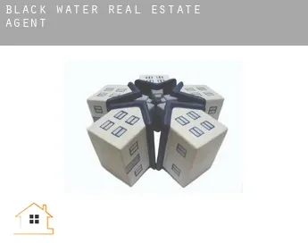 Black Water  real estate agent