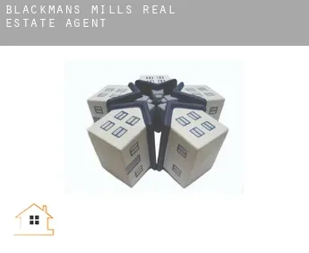 Blackmans Mills  real estate agent