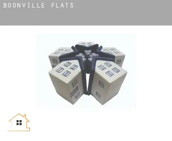 Boonville  flats
