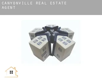 Canyonville  real estate agent