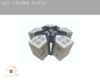 Cat Island  flats