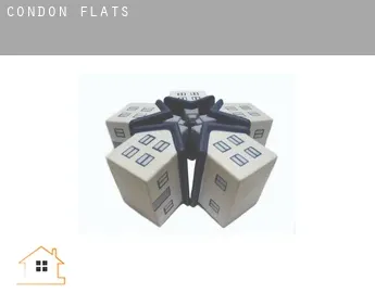 Condon  flats