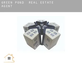Green Pond  real estate agent