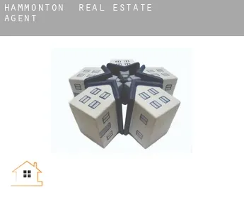 Hammonton  real estate agent