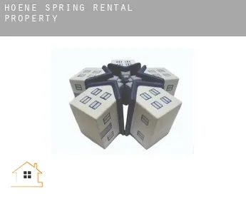 Hoene Spring  rental property