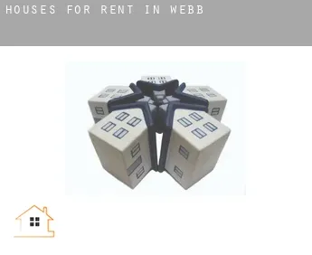 Houses for rent in  Webb