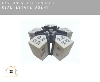 Laytonsville Knolls  real estate agent