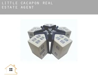Little Cacapon  real estate agent
