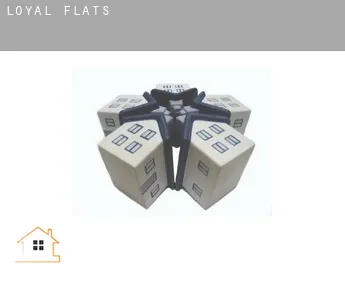 Loyal  flats