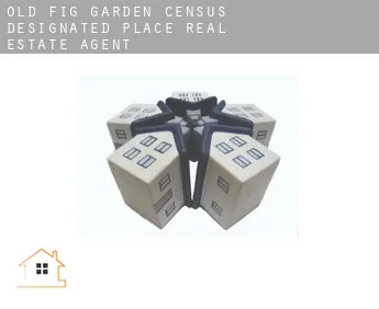 Old Fig Garden  real estate agent