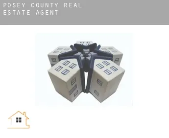 Posey County  real estate agent