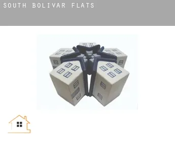 South Bolivar  flats