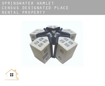 Springwater Hamlet  rental property