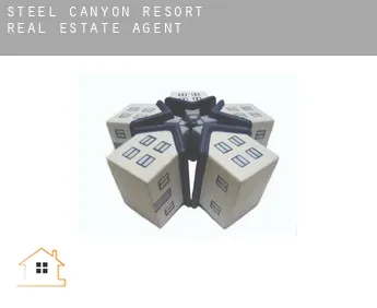 Steel Canyon Resort  real estate agent