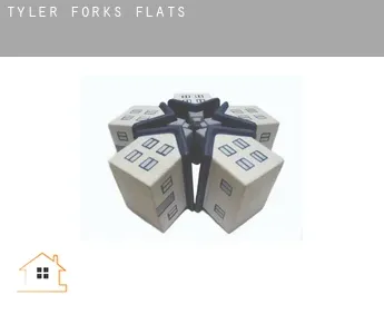 Tyler Forks  flats