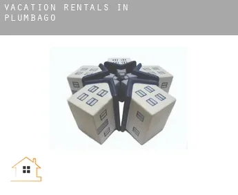 Vacation rentals in  Plumbago