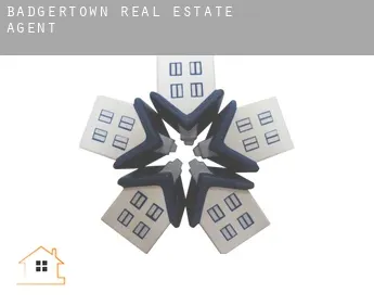 Badgertown  real estate agent