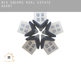Big Square  real estate agent