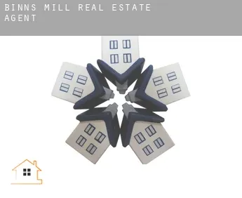 Binns Mill  real estate agent