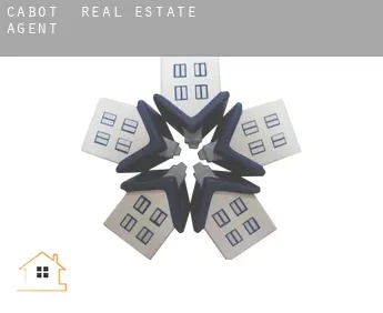 Cabot  real estate agent