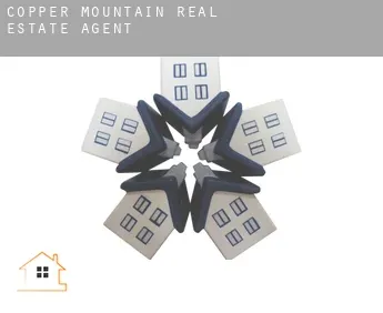 Copper Mountain  real estate agent