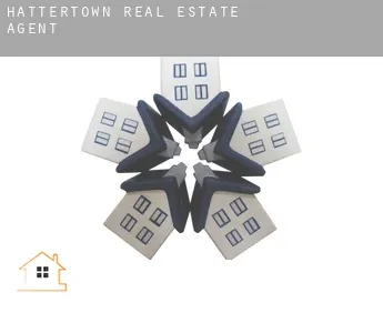Hattertown  real estate agent