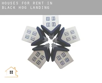 Houses for rent in  Black Hog Landing