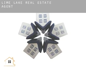 Lime Lake  real estate agent