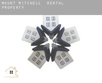 Mount Mitchell  rental property