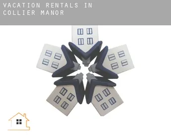 Vacation rentals in  Collier Manor
