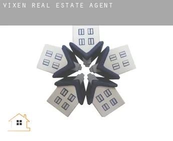 Vixen  real estate agent