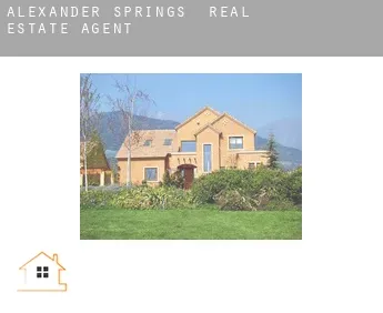 Alexander Springs  real estate agent