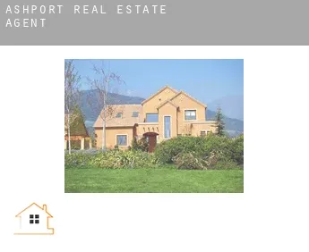 Ashport  real estate agent