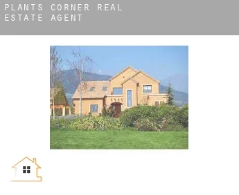 Plants Corner  real estate agent