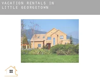 Vacation rentals in  Little Georgetown